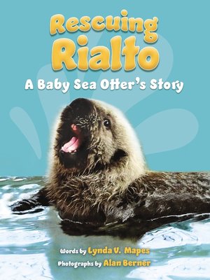cover image of Rescuing Rialto